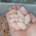 新鲜鸡子