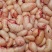 新鲜鸡子