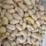 新鲜鸡子