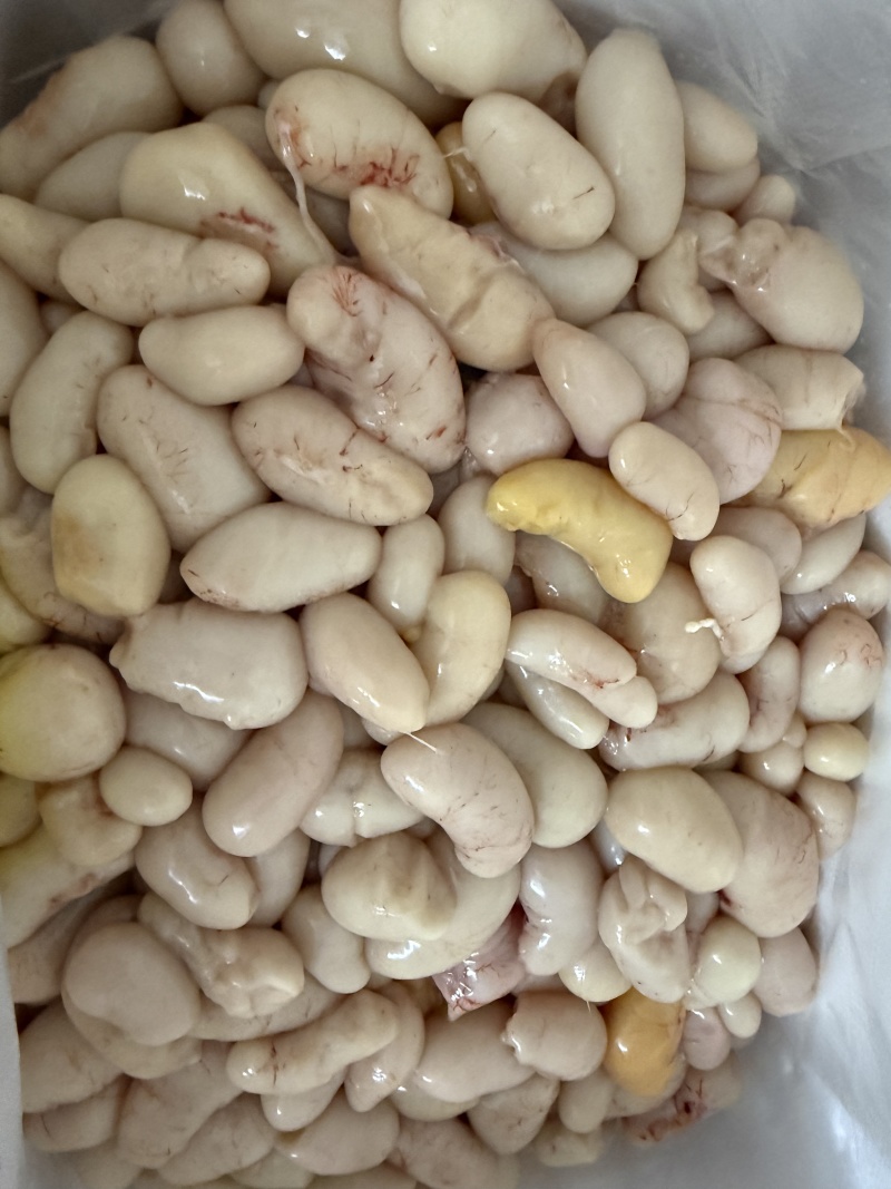 新鲜鸡子