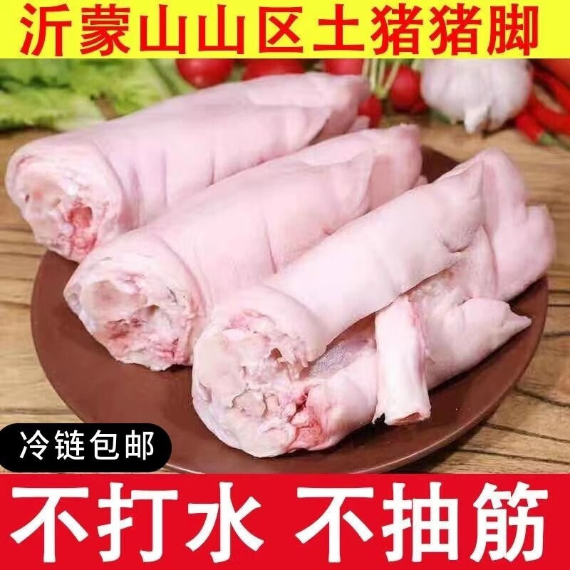 10只新鲜带筋猪蹄子营养蹄筋前蹄8只批发生猪