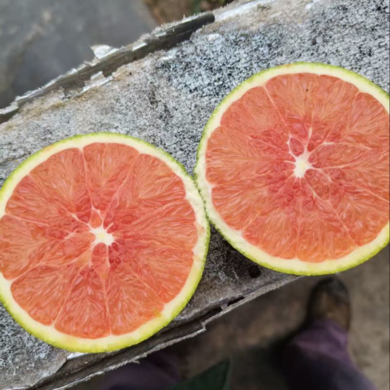 红肉橙，卡拉