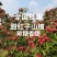 正宗精品甜红子山楂山东产地，圆润饱满香甜可口果园直发。