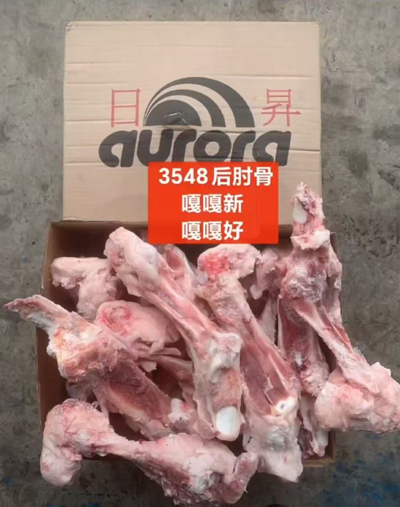 3548后肘骨