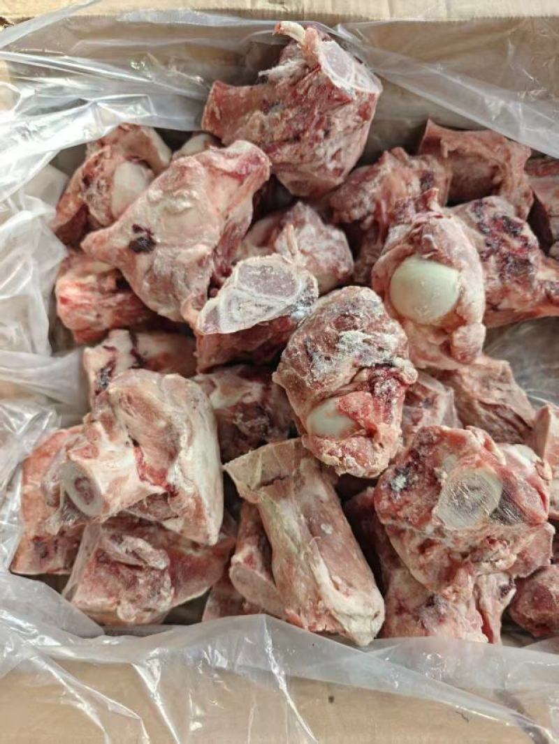 多肉猪腿骨块
