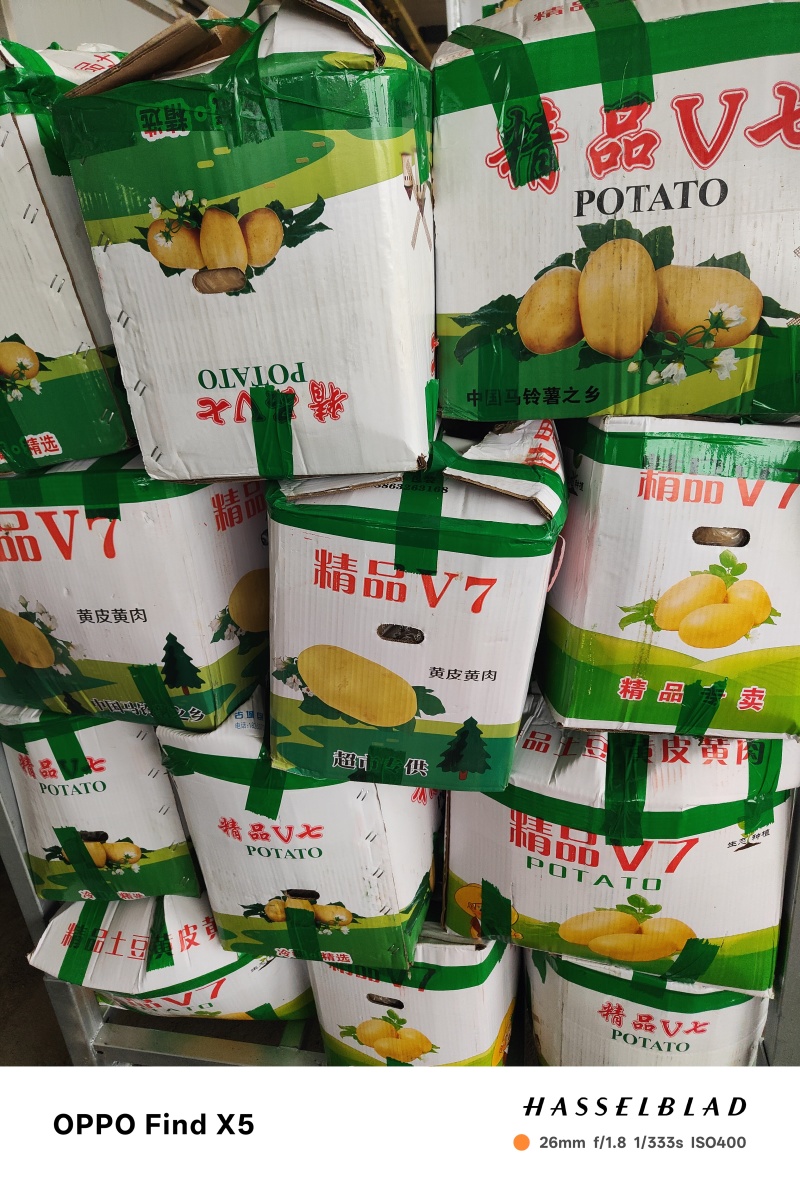 土豆