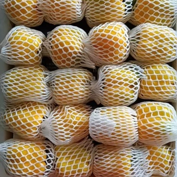 红彩椒，绿彩椒，黄彩椒