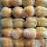 红彩椒，绿彩椒，黄彩椒