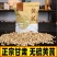 正宗黄芪圆片大片直径1.0厘米圆形原产地甘肃岷县新货批发