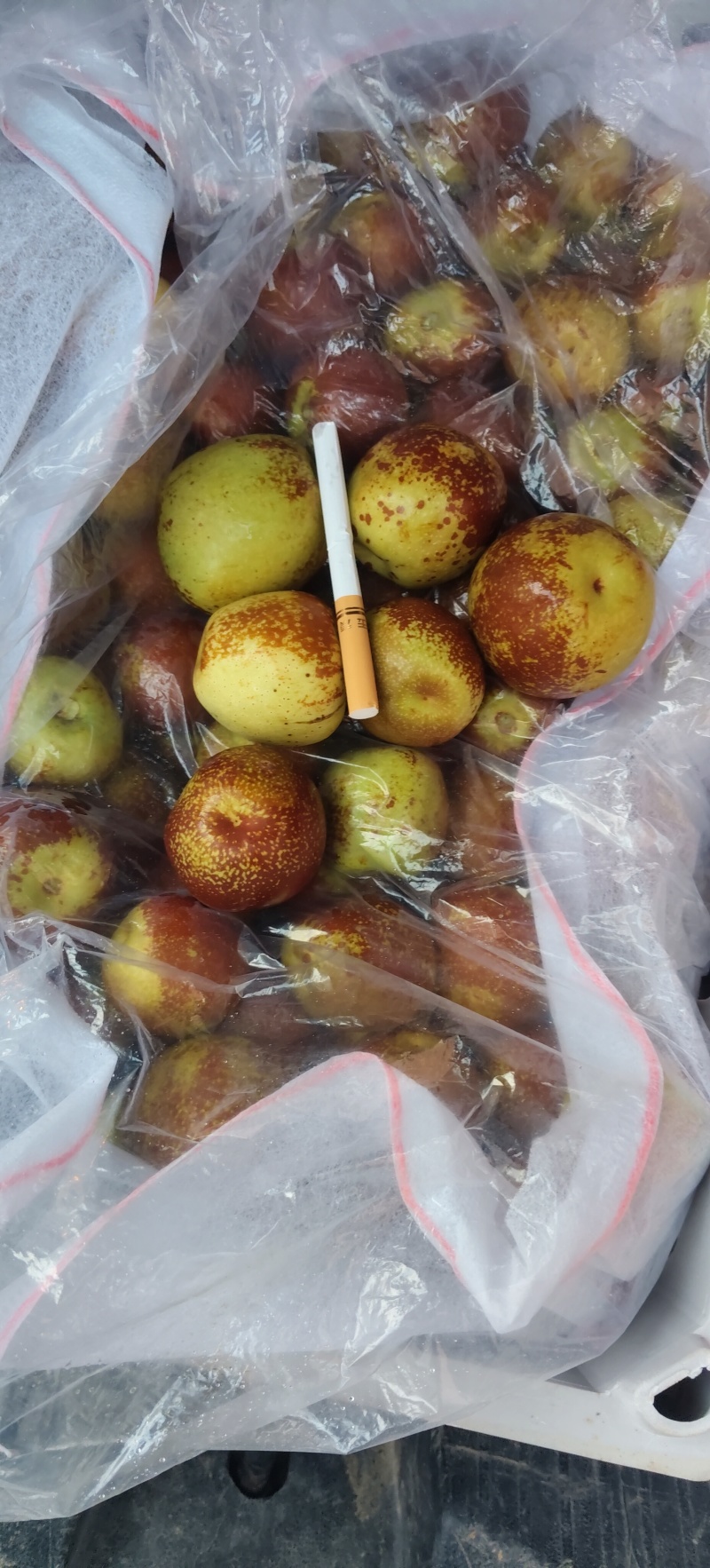庙上大荔冬枣
