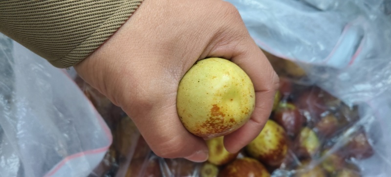 庙上大荔冬枣