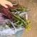 湖北红菜苔油菜苔菜苔大量供应，需要的客户联系我