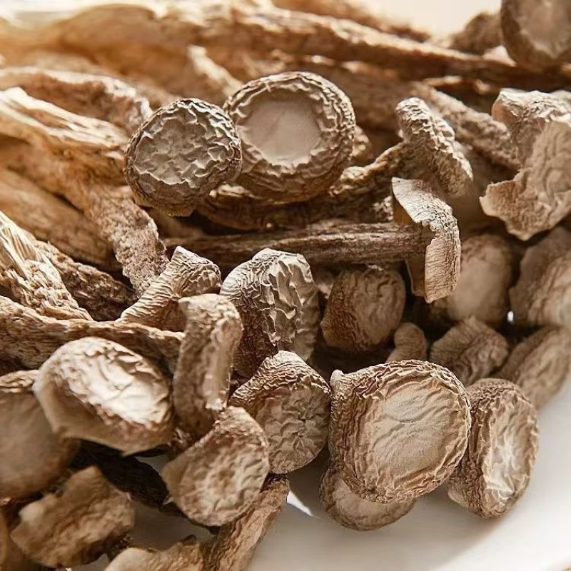 鹿茸菇干鹿茸菇菌体干净完整支持一件代发批发欢迎咨询
