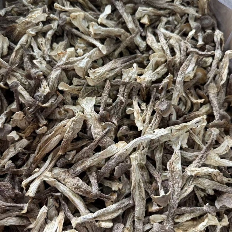 鹿茸菇干鹿茸菇菌体干净完整支持一件代发批发欢迎咨询