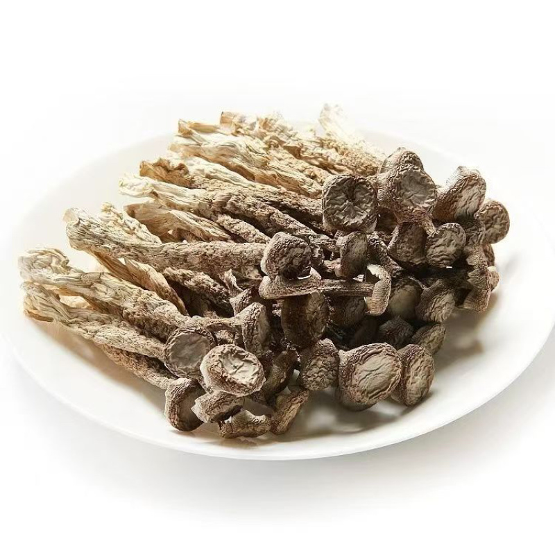 鹿茸菇干鹿茸菇菌体干净完整支持一件代发批发欢迎咨询