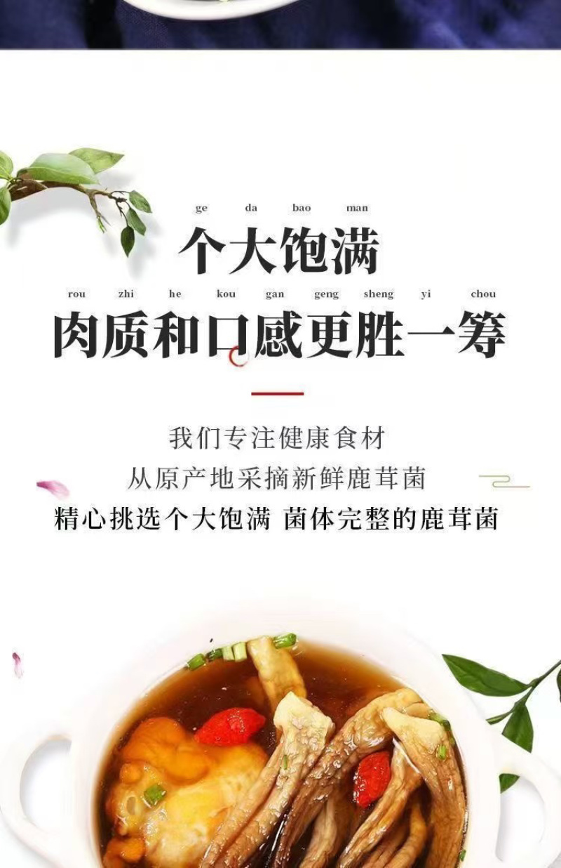 鹿茸菇干鹿茸菇菌体干净完整支持一件代发批发欢迎咨询