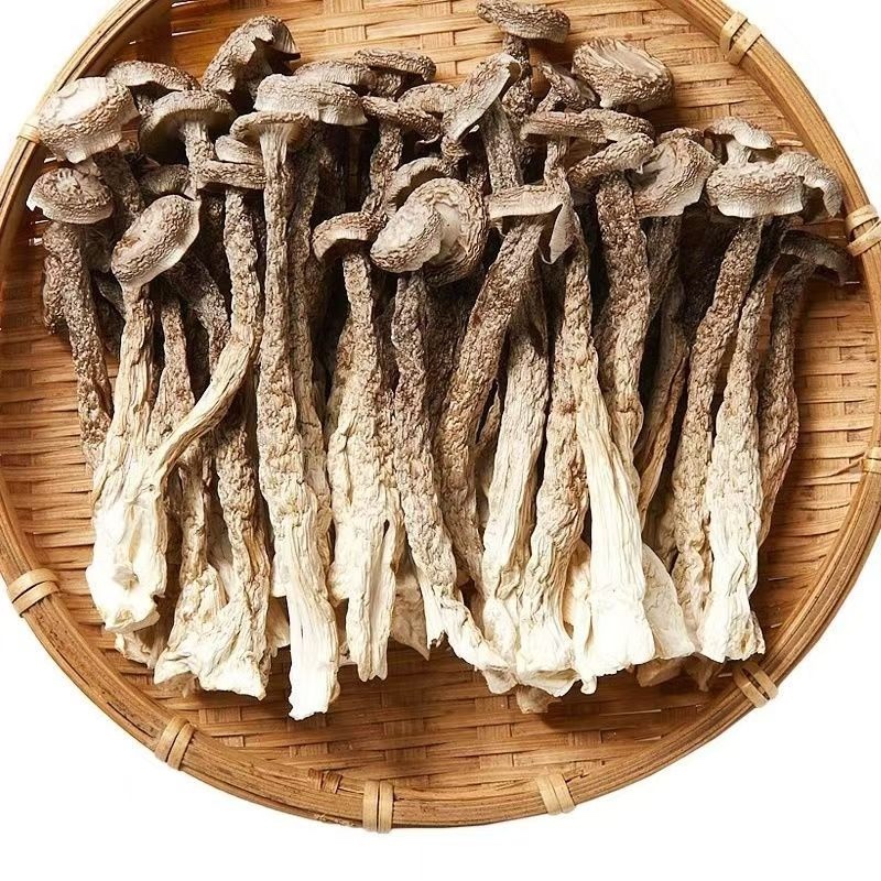 鹿茸菇干鹿茸菇菌体干净完整支持一件代发批发欢迎咨询