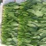 优选精品菠菜