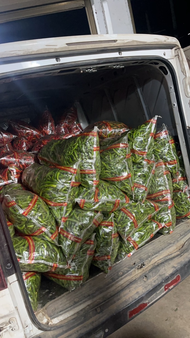 杭椒产地货源量大从优可视频看货