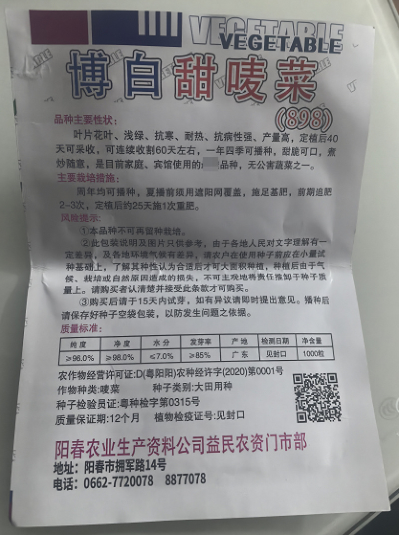 广西甜麦菜种子/抗寒/耐热/抗病性强/量大价优/欢迎咨询