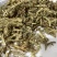 伸筋草干货颜色好质量保证一件代发