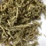 伸筋草干货颜色好质量保证一件代发