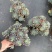 蓝苹果120规格