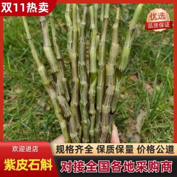 包邮云南紫皮基地直销胶质好11月份后颜色偏紫
