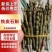 包邮价新鲜现剪铁皮石斛基地直发量大从优