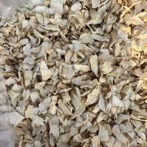 杏鲍菇根片