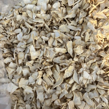 杏鲍菇根片