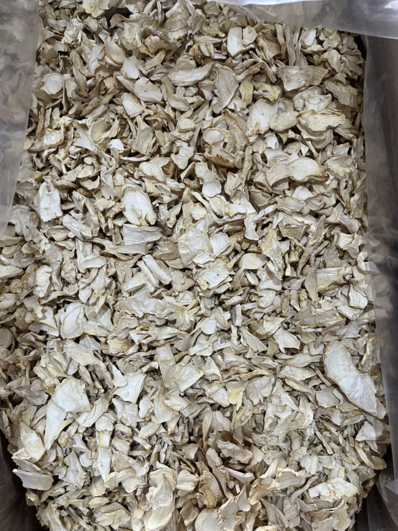 杏鲍菇根片