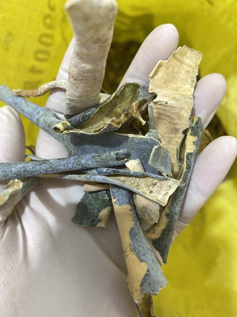 冬瓜皮新货产地直销一件代发质量保证
