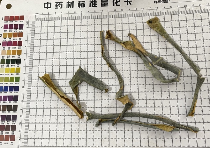 冬瓜皮新货产地直销一件代发质量保证