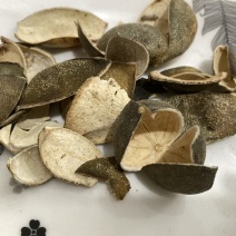四花青皮青皮统个现货供应一件代发