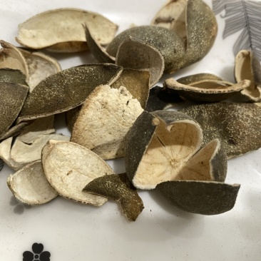 四花青皮青皮统个现货供应一件代发