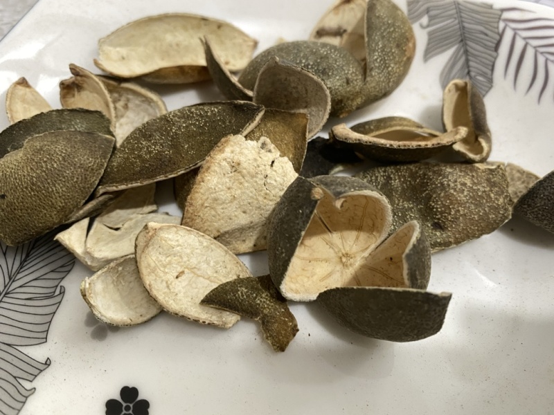 四花青皮青皮统个现货供应一件代发