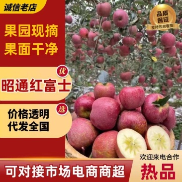 【热卖】云南昭通红富士冰糖心丑苹果种植基地直发