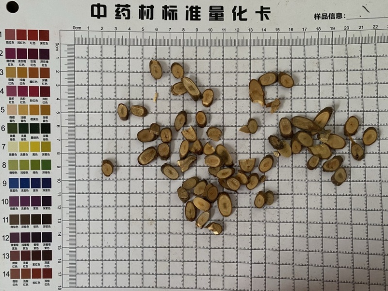 桂枝粗桂枝尖一件代发质量保证