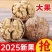 漾濞大麻子干果