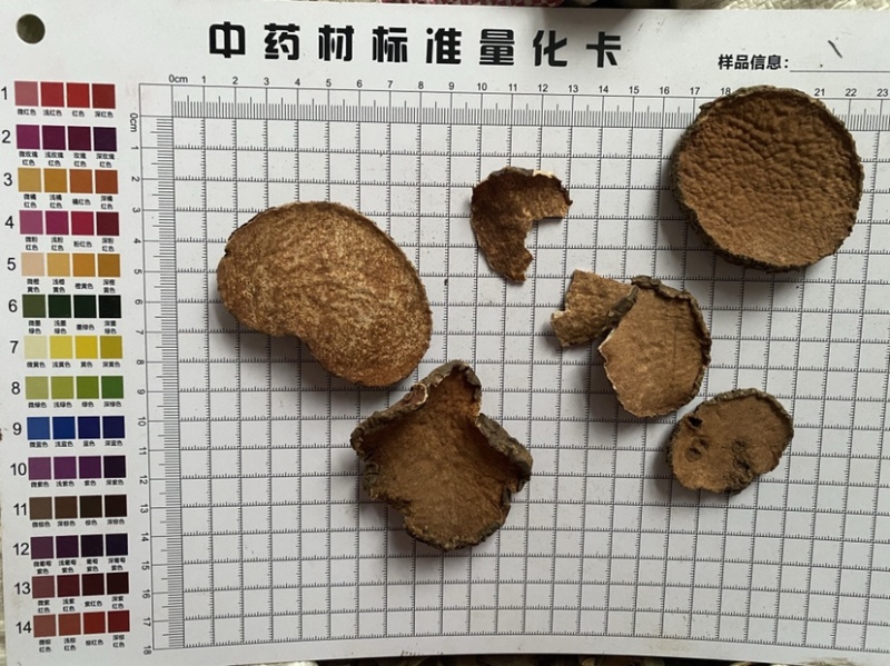 黄药子