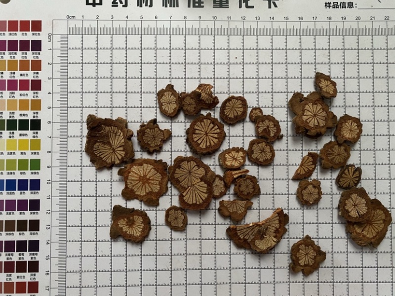 血藤批发零售各种中药材