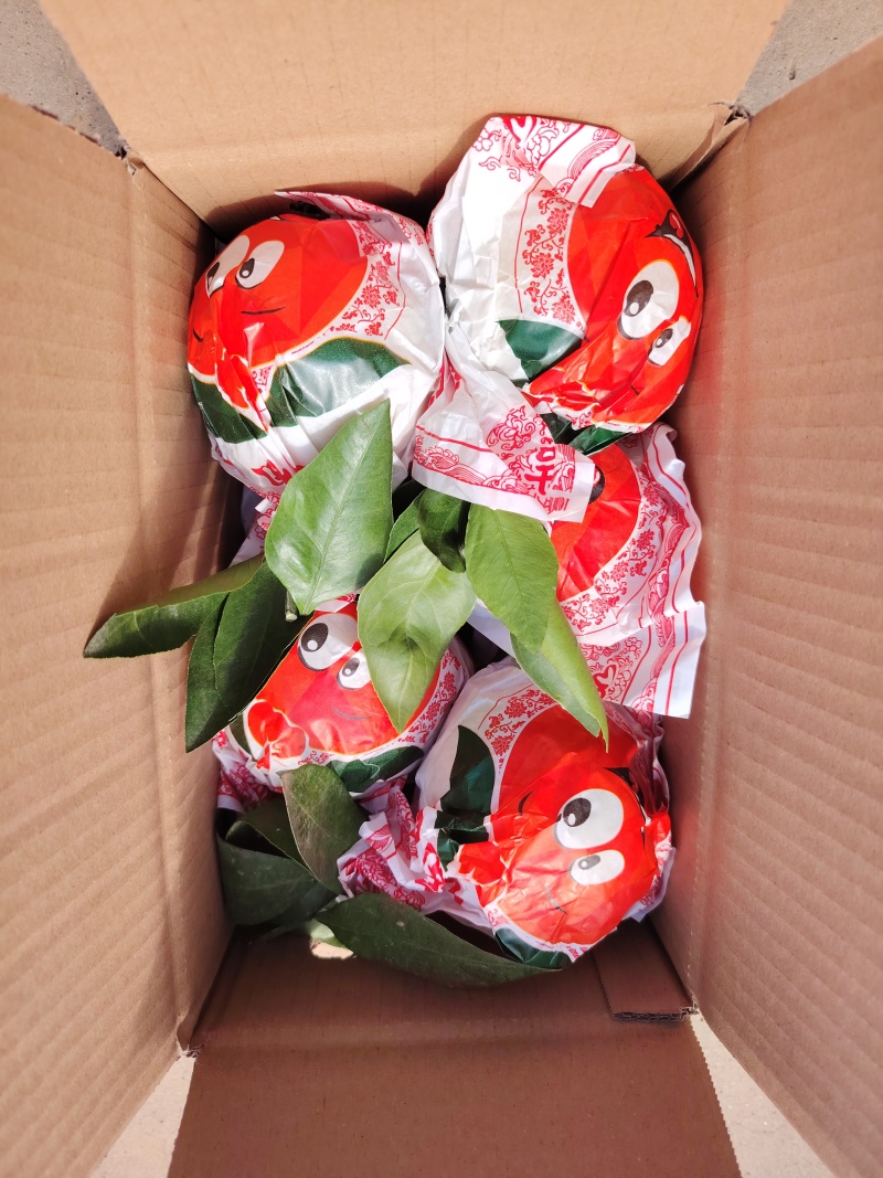 丑橘一件代发