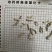 僵蚕白僵蚕