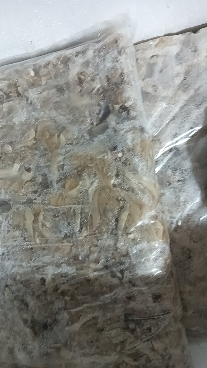 洞庭湖河蚌肉自有工厂可溯源对接电商餐饮团购~支持一件代发