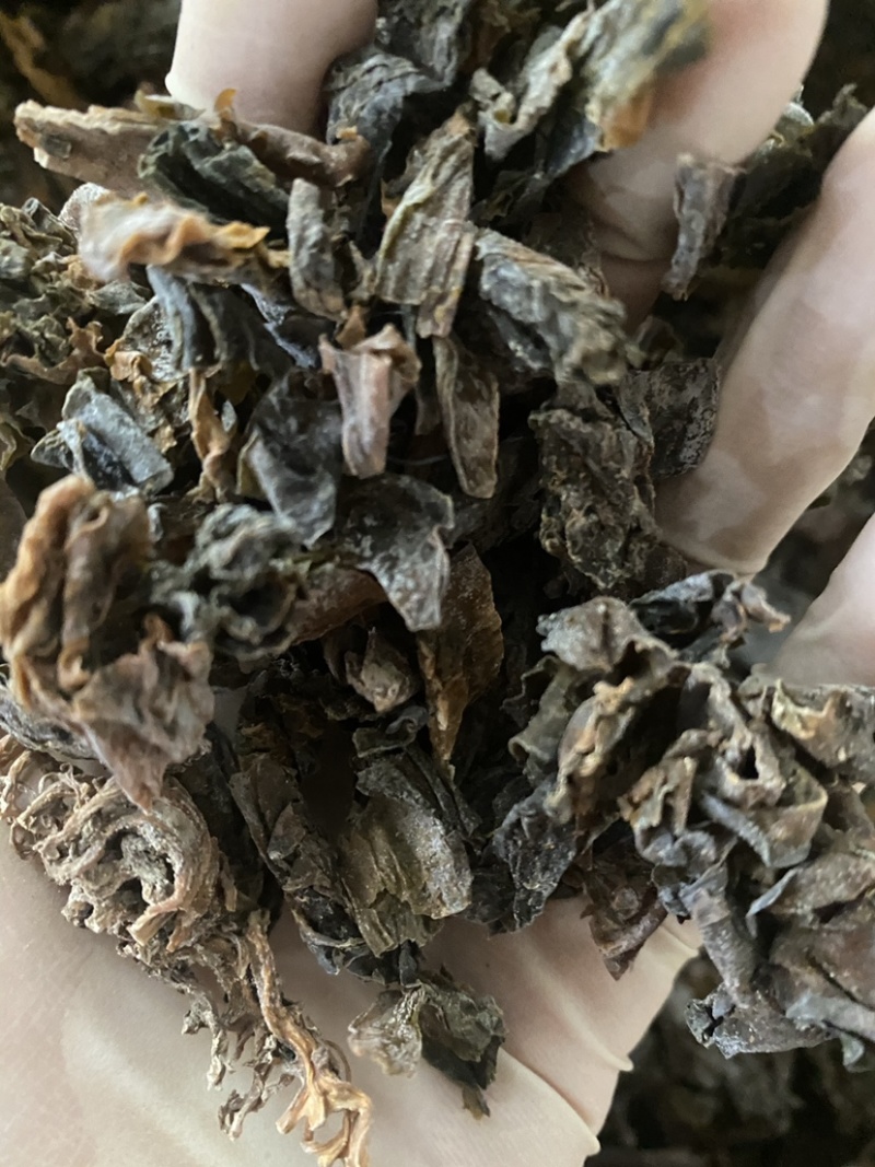昆布干净无杂质一件代发