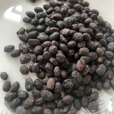 豆豉货干无杂中药材豆豉一件代发