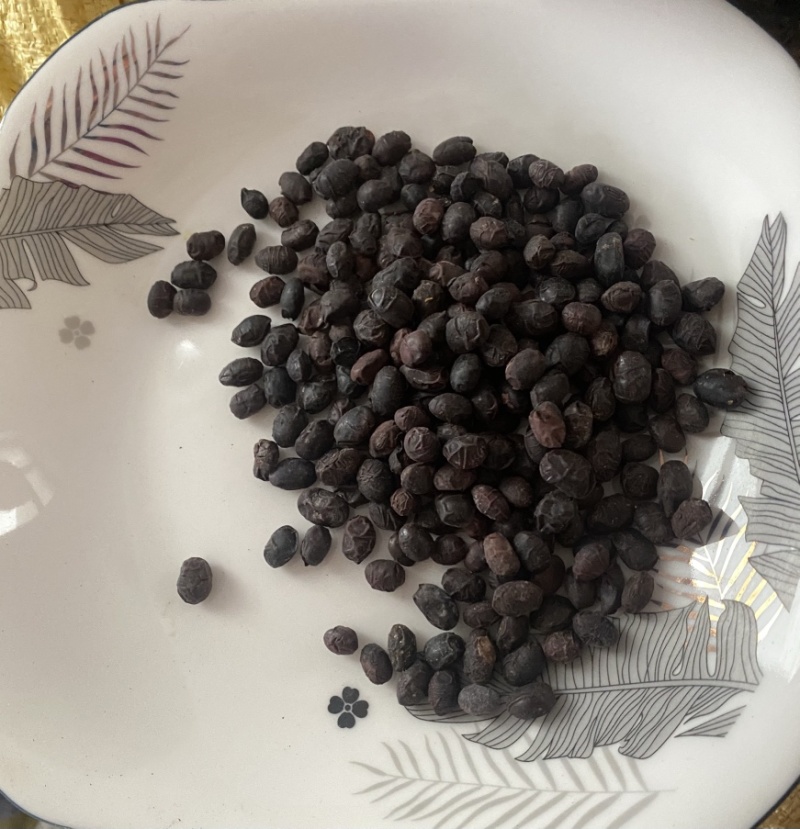 豆豉货干无杂中药材豆豉一件代发