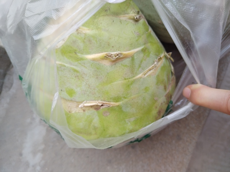 腌菜凉拌球茎苤蓝