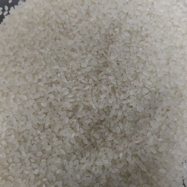 批发东北珍珠米25年的新米可对接电商和各大餐饮店食等